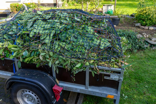 Best Dumpster Rental Services  in Deephaven, MN